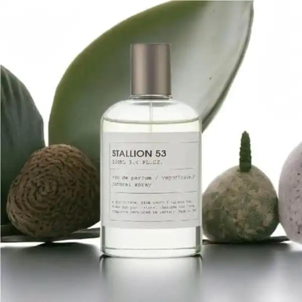 STALLION 53