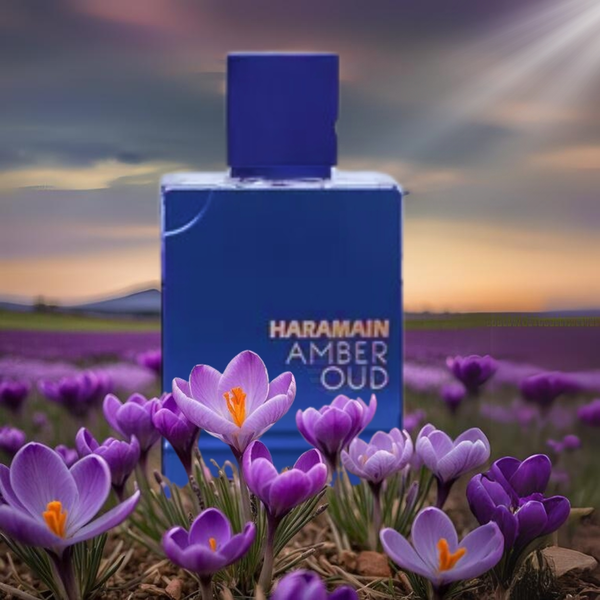 Amber Oud Dubai Night Al Haramain